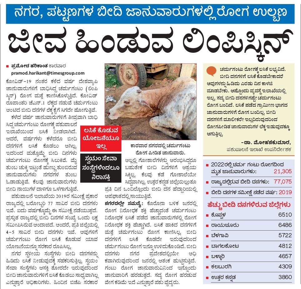 pramodankolaVK's tweet image. ಬೀದಿ ದನಗಳಲ್ಲಿ ಲಿಂಪಿಸ್ಕಿನ್ 
#lumpyskin #karwar #uttarakannada