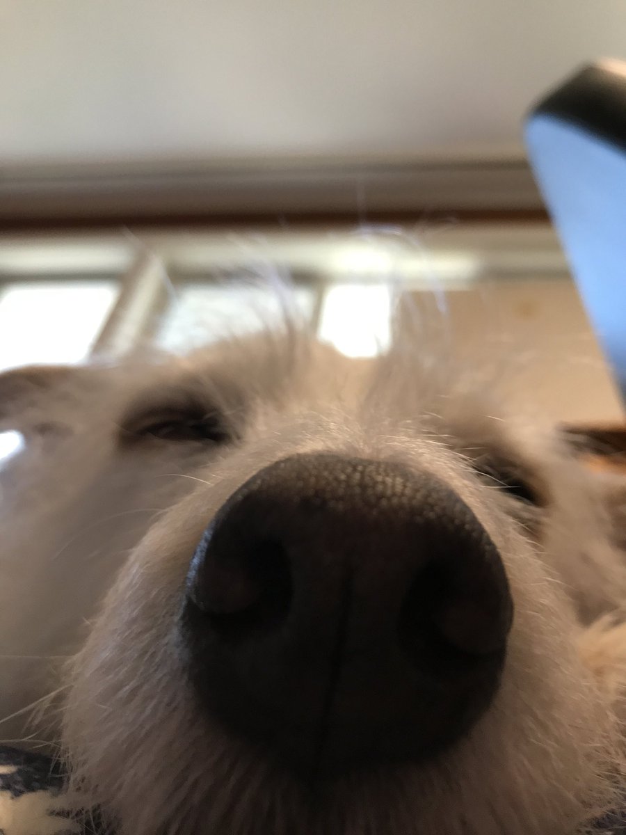 20 years of age today 😁 I hope all of you are living well