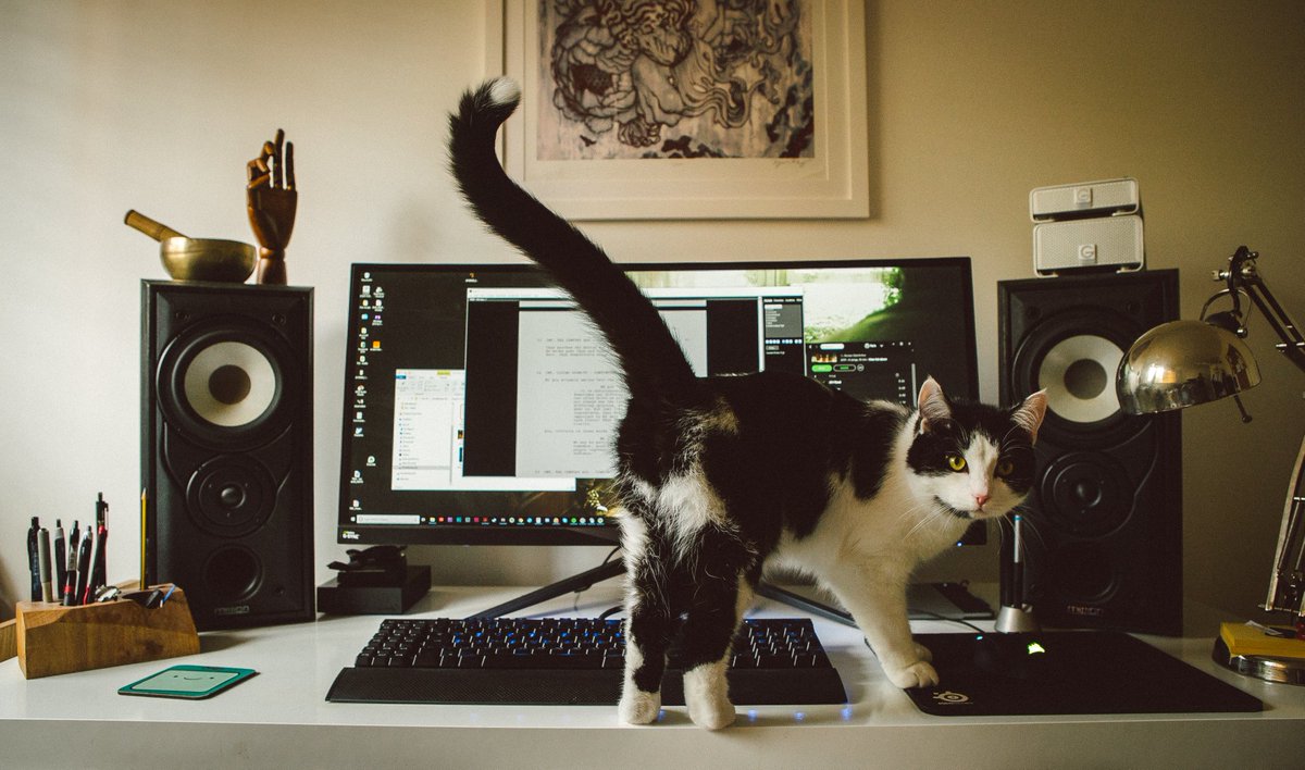 Lots have asked so to commemorate my gentle boy, Pancake, I've made a special calendar. I know we're in January so there's an extra month to make up for it. More Pancake!

It's a preorder timed window until Thurs 5pm PST and I'll only print whats ordered. accidentalcatdad.bigcartel.com/product/preord…