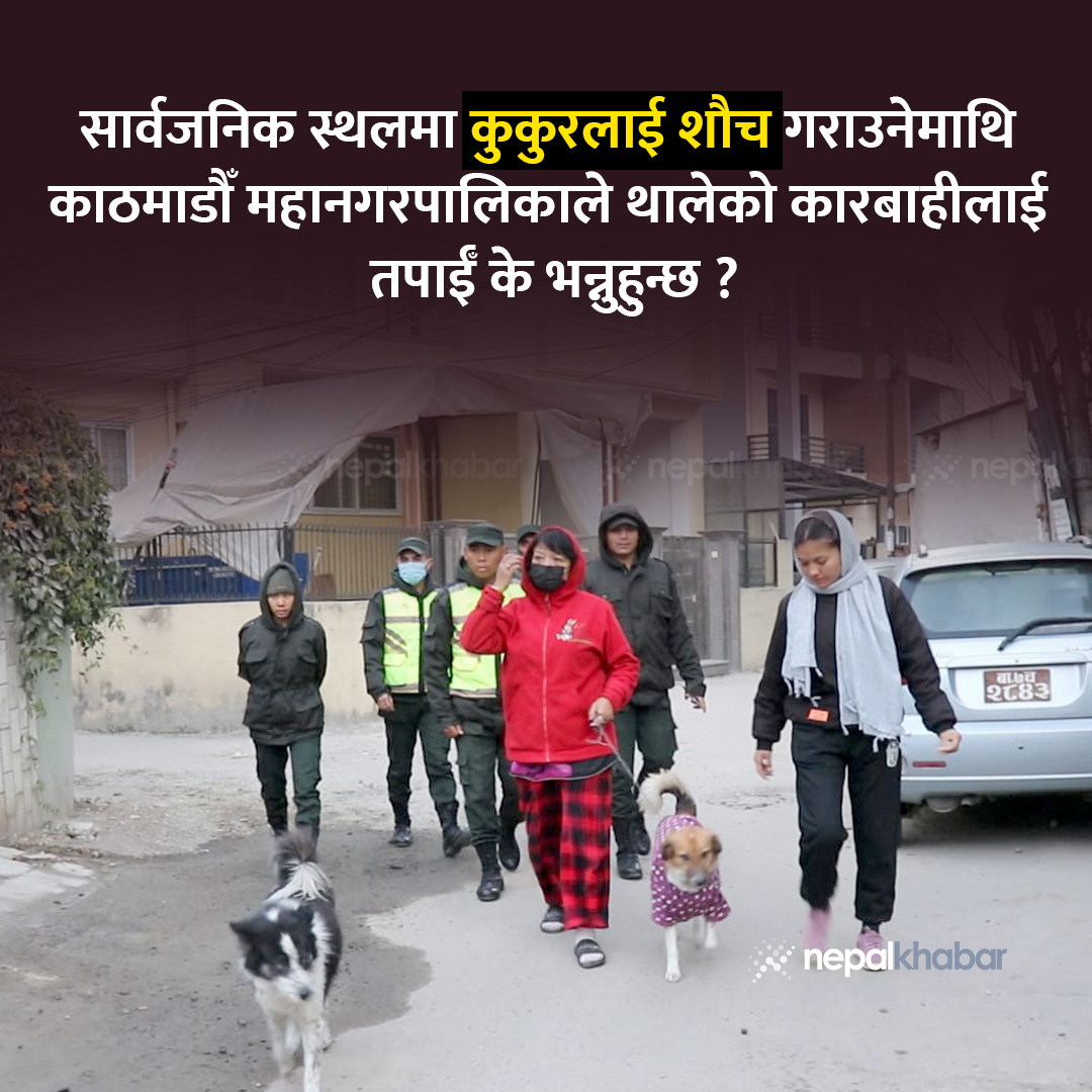 nepalkhabar's tweet photo. सार्वजनिक स्थलमा कुकुरलाई शौच गराउनेमाथि काठमाडौँ महानगरपालिकाले थालेको कारबाहीलाई तपाईँ के भन्नुहुन्छ ? https://t.co/VjNkoqqQls