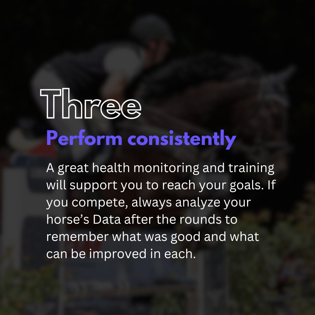 Alogo Analysis tweet media