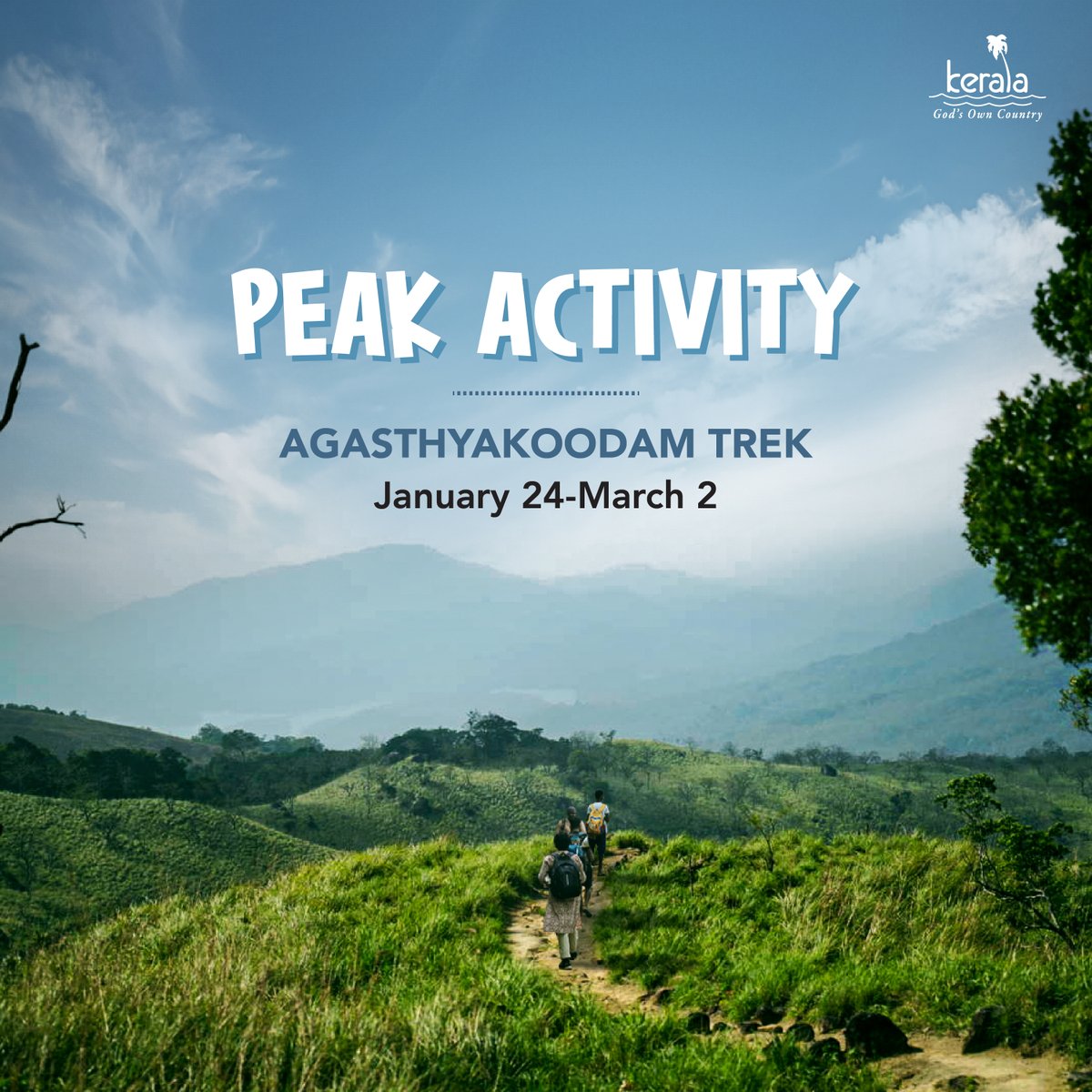Agasthyakoodam, one of the highest peaks in Kerala, is open for trekking from January 24 to March 2. This bird watcher’s paradise is known for its trove of medicinal herbs. Pilgrims also undertake this difficult trek to visit the hill shrine dedicated to sage Agasthya. The number…