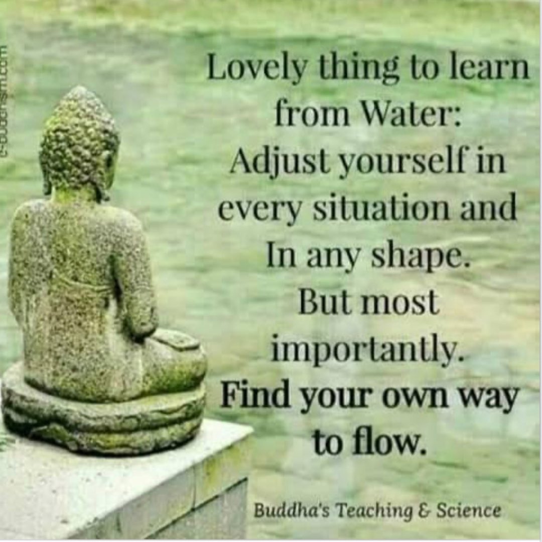 #quotes #quotesaboutlife #water  #lifecoach #lifecoaching #virtualcoaching #MotivationalQuotes