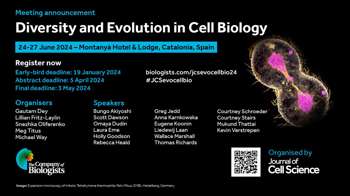 Development (@dev_journal) on Twitter photo Uniting researchers working with unconventional experimental organisms
Read this <a href="/Co_Biologists/">The Company of Biologists</a> story about #DevMeeting23:
biologists.com/stories/dev-me…
And check out a related <a href="/J_Cell_Sci/">J Cell Science</a> meeting 'Diversity and Evolution in Cell Biology':
📅24-27 Jun 2024
biologists.com/meetings/jcsev… Uniting researchers working with unconventional experimental organisms
Read this <a href="/Co_Biologists/">The Company of Biologists</a> story about #DevMeeting23:
biologists.com/stories/dev-me…
And check out a related <a href="/J_Cell_Sci/">J Cell Science</a> meeting 'Diversity and Evolution in Cell Biology':
📅24-27 Jun 2024
biologists.com/meetings/jcsev…