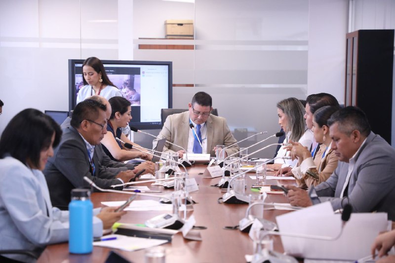 #LaNuevaAsamblea | En <a href="/BiodiversidadAN/">Comisión de la Biodiversidad y Recursos Naturales</a> comparecen representantes de la Coordinación de <a href="/P_CiudadanaAN/">Coordinación General de Participación Ciudadana AN</a>, para hablar del acompañamiento y asesoría en la construcción de los proyectos de ley de la comisión, así como para dialogar sobre el status del proceso de subsanación en el