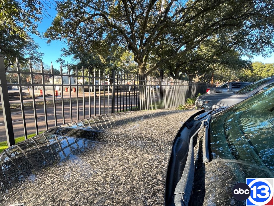 Travis Herzog ⚡️ tweet media