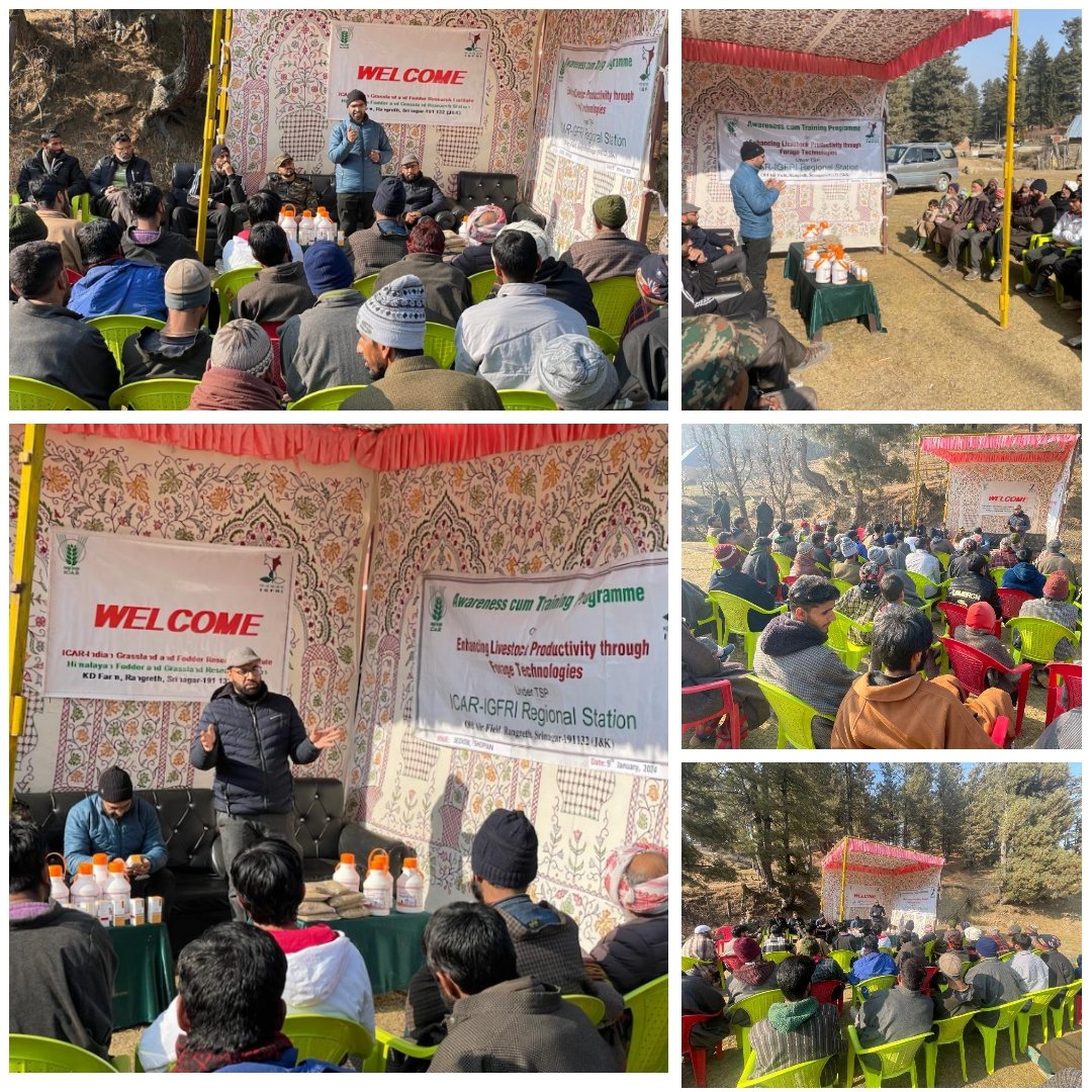 @IgfriS organized a training program at Sedow village, 65 km from Srinagar. Scientists shared insights on scientific cultivation practices, fodder resources, and conservation techniques for sustainable livestock production. @icarindia @IcarIgfri @IYRP2026