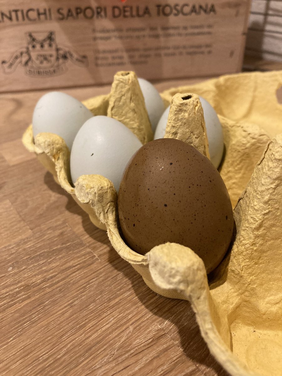 NevinPevin's tweet image. Ny ægge-moden damen i hønsehuset. Ny farve. 
Dagens højdepunkt!