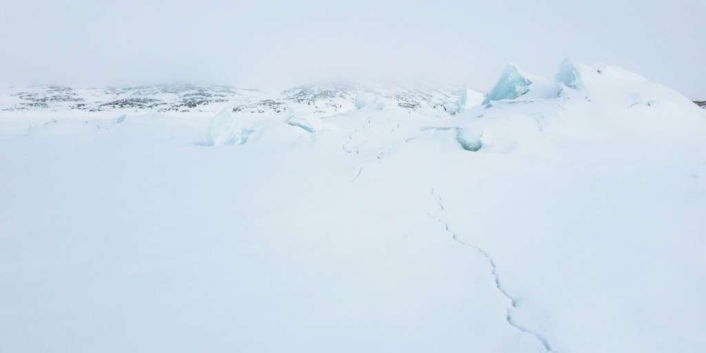 ❄ Are you a graduate or undergraduate student studying Canada's Arctic? ❄ Look at our available scholarships and awards to find out which is best suited for you! 👉 canada.ca/en/polar-knowl… 📣 Applications are open until January 15; don’t miss your chance!