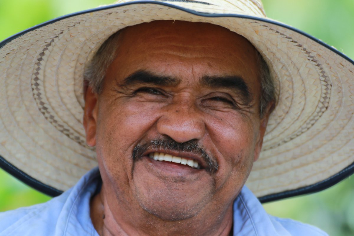 Federación Nacional de Cafeteros tweet media