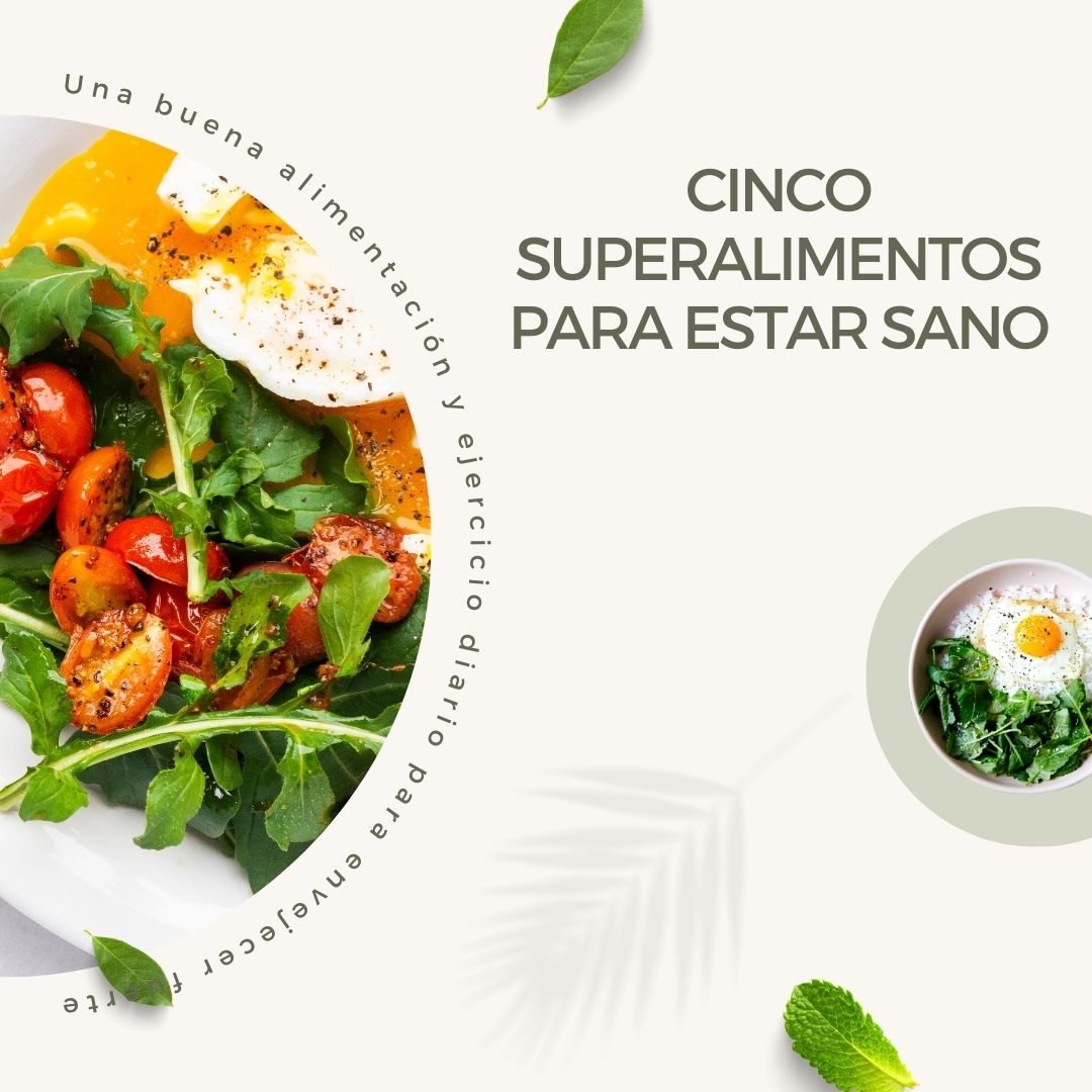 Talento Aragón Joven tweet media