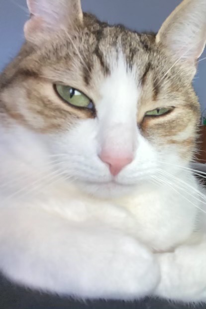 Life at Guerrilla tweet media