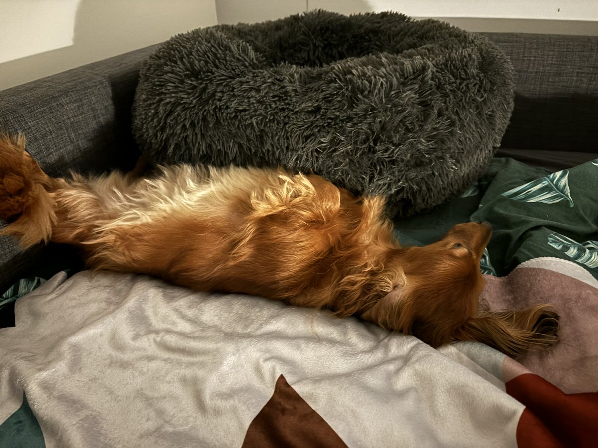 Life at Guerrilla tweet media