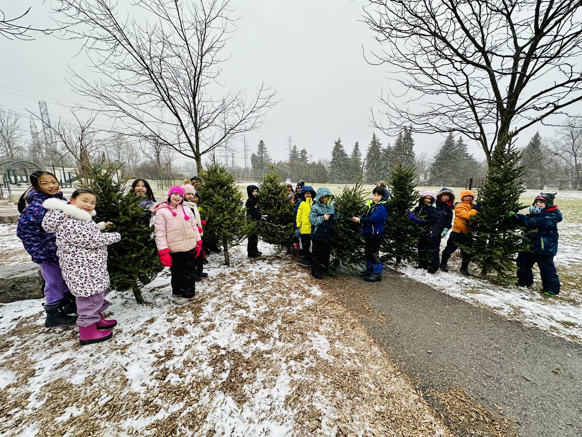 Cresthaven_203's tweet photo. Trying to fill the gap in Christmas tree resale market. If it doesn’t pan out, we can always just play with the trees. #OPALSchool @mbulgutch @CresthavenPS https://t.co/P1SaVfWj4x