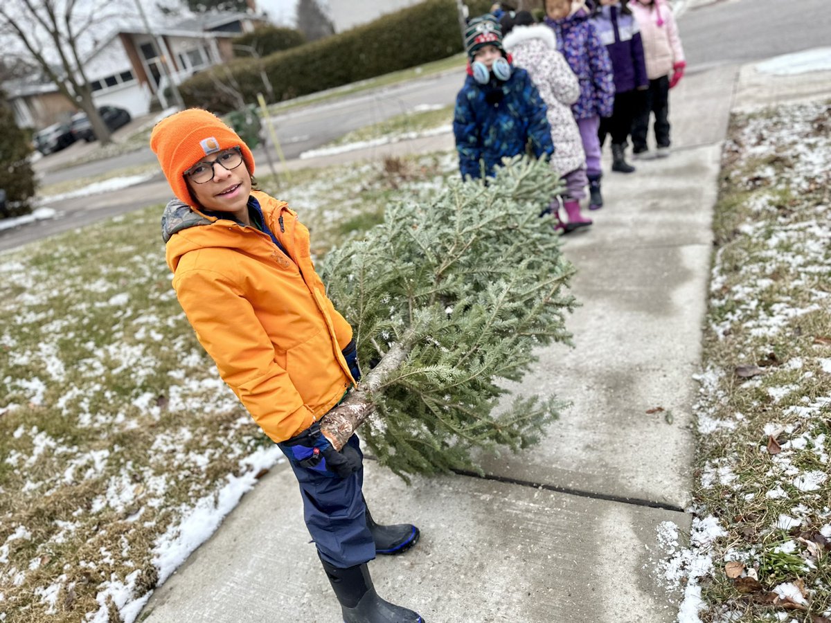 Cresthaven_203's tweet photo. Trying to fill the gap in Christmas tree resale market. If it doesn’t pan out, we can always just play with the trees. #OPALSchool @mbulgutch @CresthavenPS https://t.co/P1SaVfWj4x