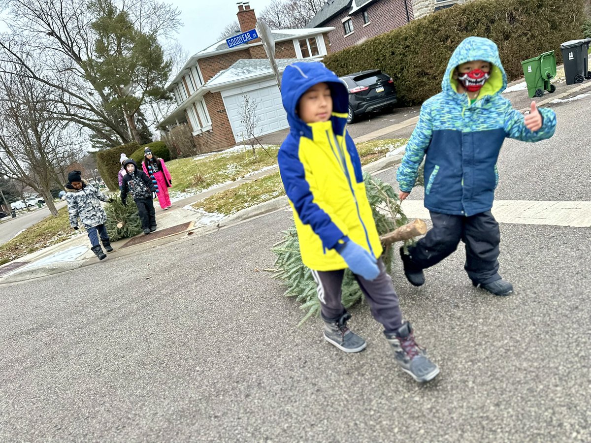 Cresthaven_203's tweet photo. Trying to fill the gap in Christmas tree resale market. If it doesn’t pan out, we can always just play with the trees. #OPALSchool @mbulgutch @CresthavenPS https://t.co/P1SaVfWj4x