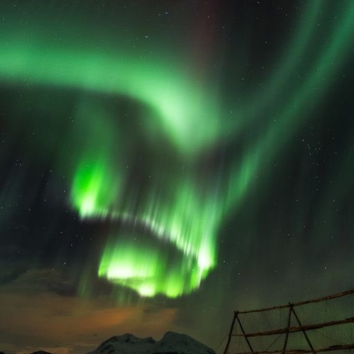 LiveAuroraNetw1 tweet picture