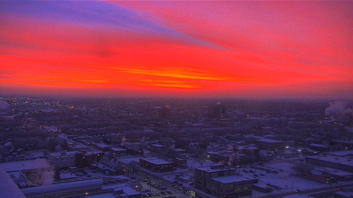 Chris Arden Haynes tweet media