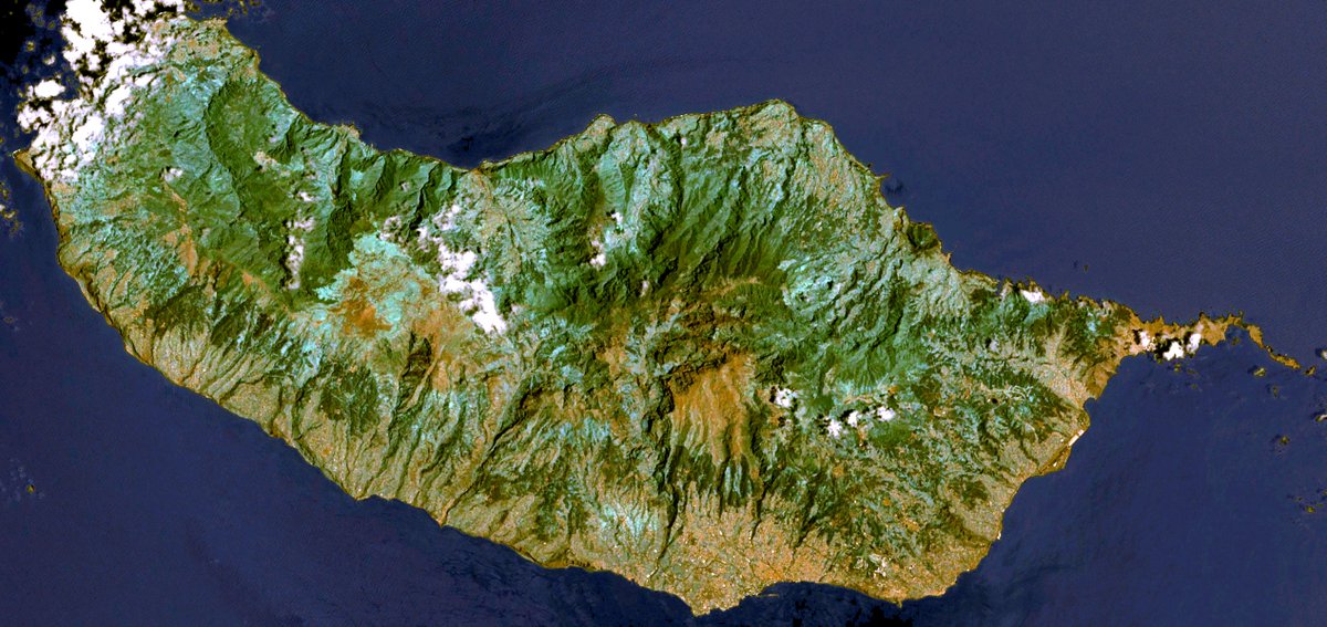 Madeira's tweet photo. Someone asked me for a selfie.. here it is!

#Madeira #selfie https://t.co/oyjYrFog32