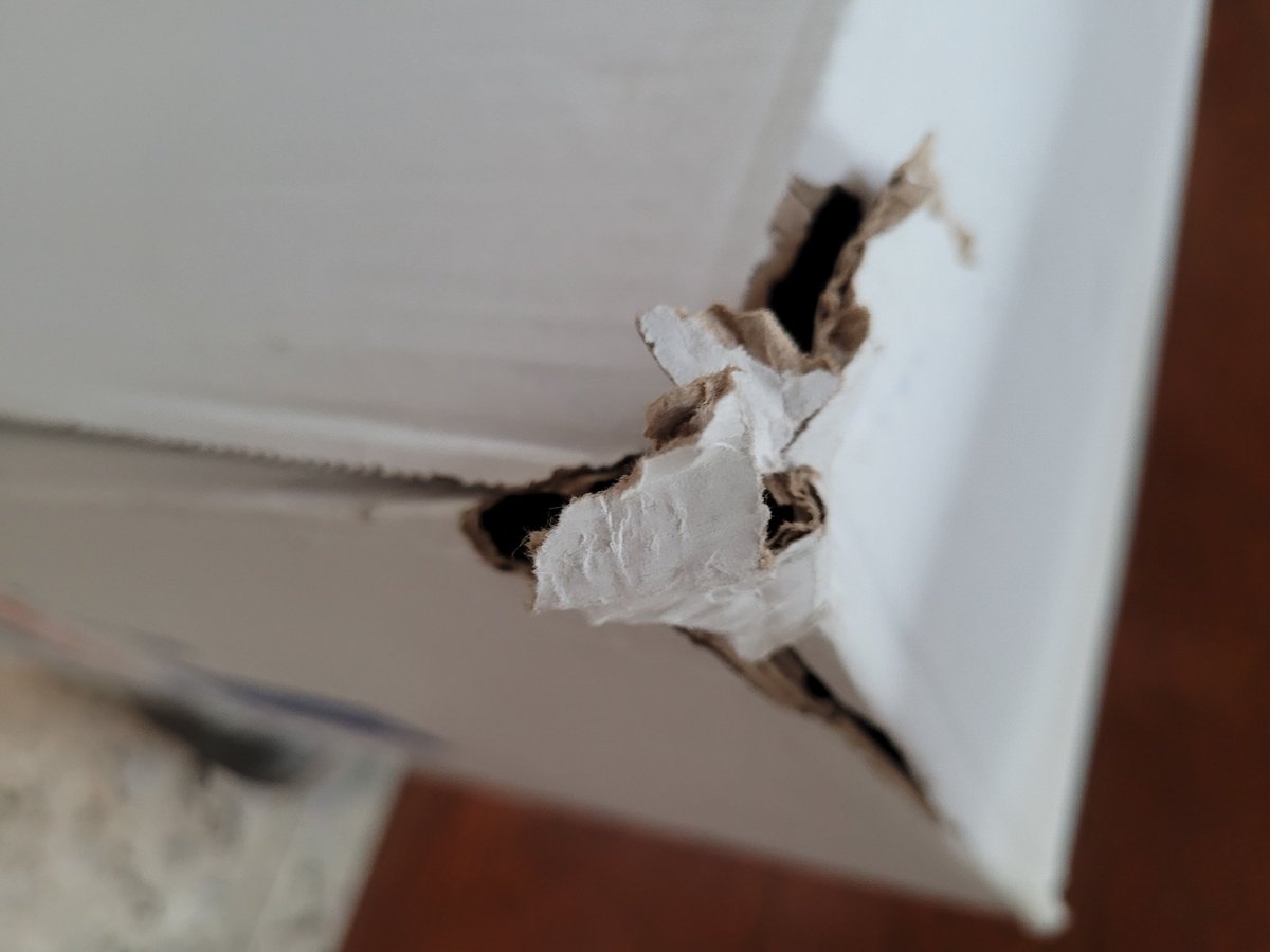 AlexisKruemel's tweet photo. Bei @intersport bestellt und von 
@dpd_de so geliefert!!! Hoffentlich ist die Ware wenigstens unbeschädigt. https://t.co/1EFpW45R26