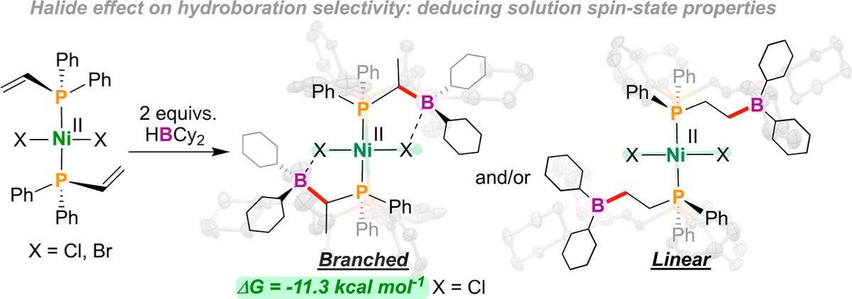 Boron-Chem-Research (@boron_chemistry) on Twitter photo Anomalous Hydroboration at a Four-Coordinate Ni(II) Diphenylvinylphosphine Complex: Geometric Impacts on Solution Equilibria (<a href="/Orgmet_ACS/">Organometallics</a>): pubs.acs.org/doi/10.1021/ac… (<a href="/Chemrissa/">Dr. Marissa L. Clapson</a>
@jzurakowski1, <a href="/AustenBrady/">brady austen</a>, <a href="/marcuswdrover/">Marcus Drover</a>). Anomalous Hydroboration at a Four-Coordinate Ni(II) Diphenylvinylphosphine Complex: Geometric Impacts on Solution Equilibria (<a href="/Orgmet_ACS/">Organometallics</a>): pubs.acs.org/doi/10.1021/ac… (<a href="/Chemrissa/">Dr. Marissa L. Clapson</a>
@jzurakowski1, <a href="/AustenBrady/">brady austen</a>, <a href="/marcuswdrover/">Marcus Drover</a>).