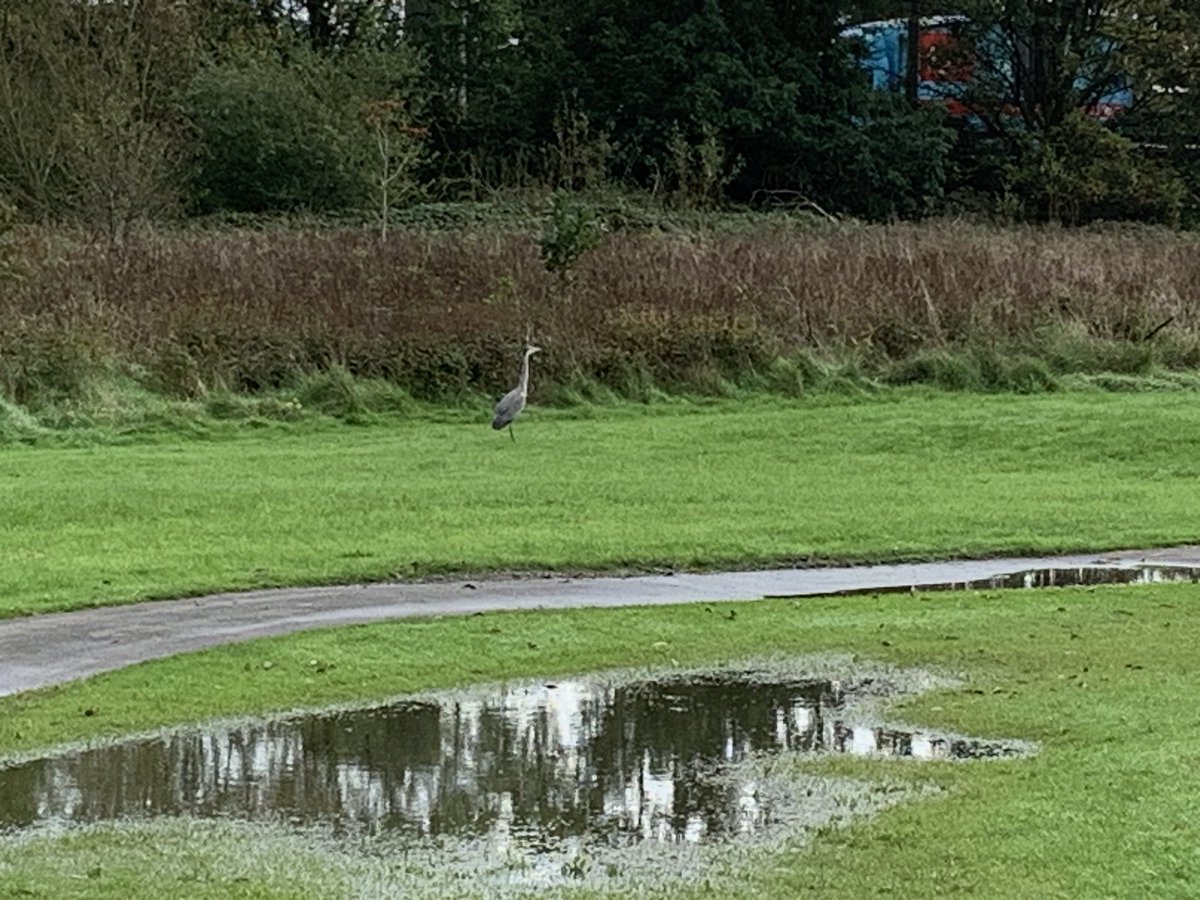 Dave Swinbank tweet media