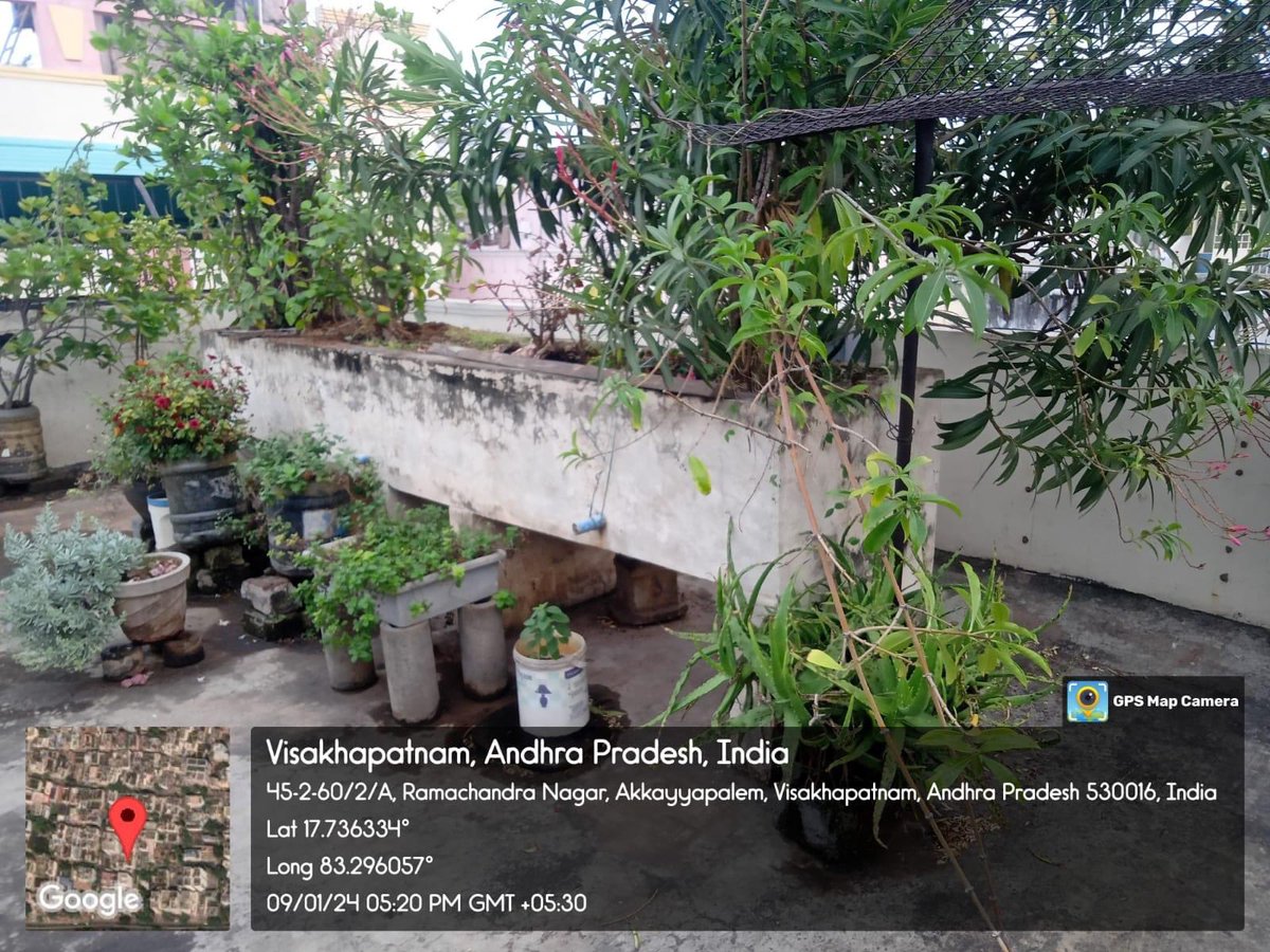 GVMC_VISAKHA's tweet photo. GVMC in association with the City Terrace Garden(CTG) group has distributed vegetable seeds and saplings under Eco Green initiative of Eco Vizag at Ramchandranagar, Akkayapalem. Also sensitized the citizens on benefits of Terrace Gardens.  

#TerraceGardens 
#EcoVizag 
#EcoGreen 
#ISupportEcoVizag