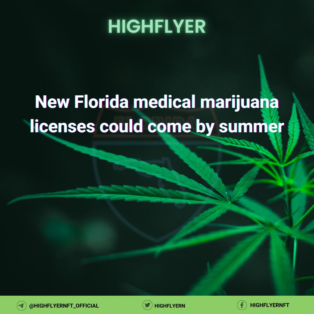 HighflyerN's tweet photo. 🌿 Are new Florida medical marijuana licenses on the horizon? Find out the latest updates on the state's cannabis industry expansion and the potential impact on patients and newcomers.

Read more: https://t.co/nlTV76re3m

#Highflyer #MedicalMarijuana #FloridaCannabis #Healthcare https://t.co/gPPuOBzfeS