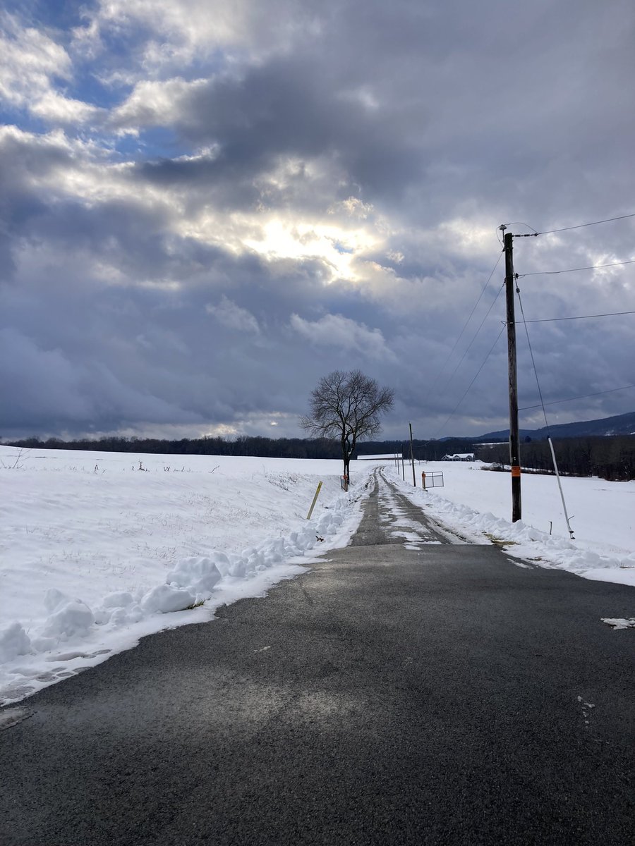 WheelAM6's tweet image. Standing by yourself can be lonely…so make friends with the telephone pole!
#photography #nature #NaturePhotography #tree #winter #loneliness