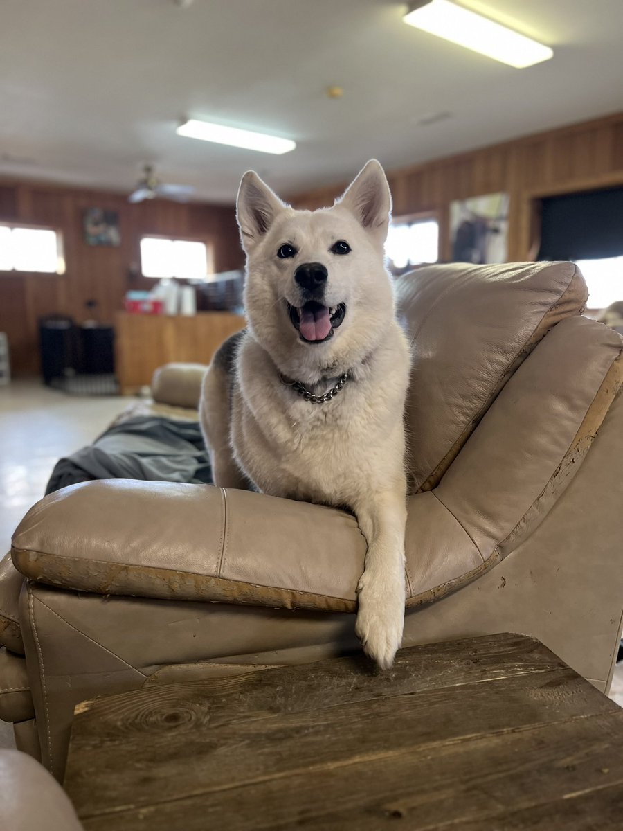 Randy Grim tweet media