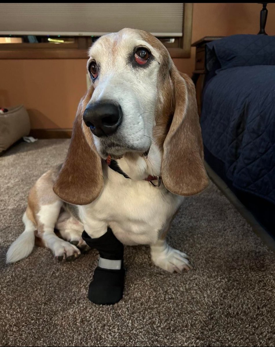 Snow hours Tuesday Jan 9th
Iowa CIty is OPEN 12:00-3:00pm!
North Liberty is CLOSED!

Thank you. Stay safe.