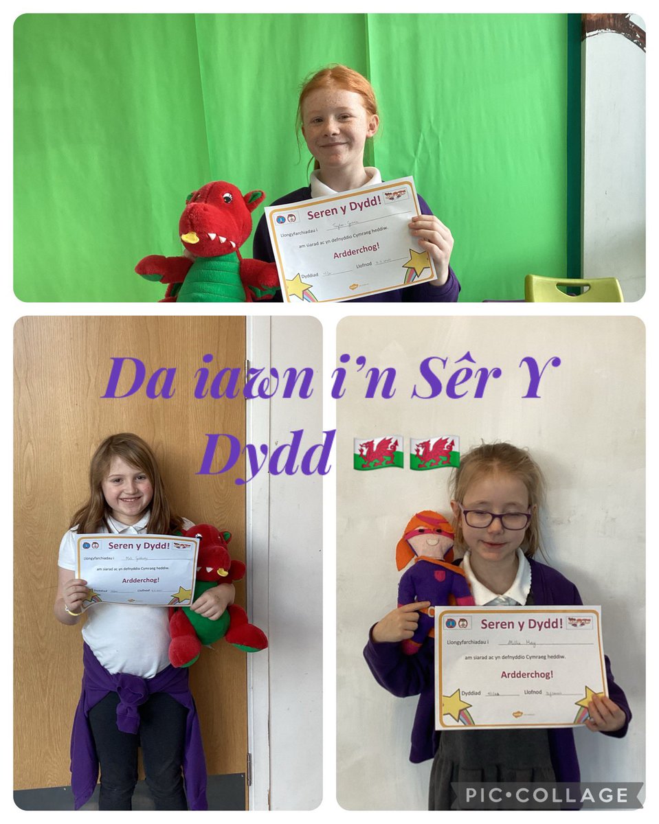 bro_helyg's tweet photo. @YGTredegar @EAS_Cymraeg #siarteriaithbrohelyg #serenydydd @Addysg_Cymraeg #serenasbarc https://t.co/YXKBYvb15o