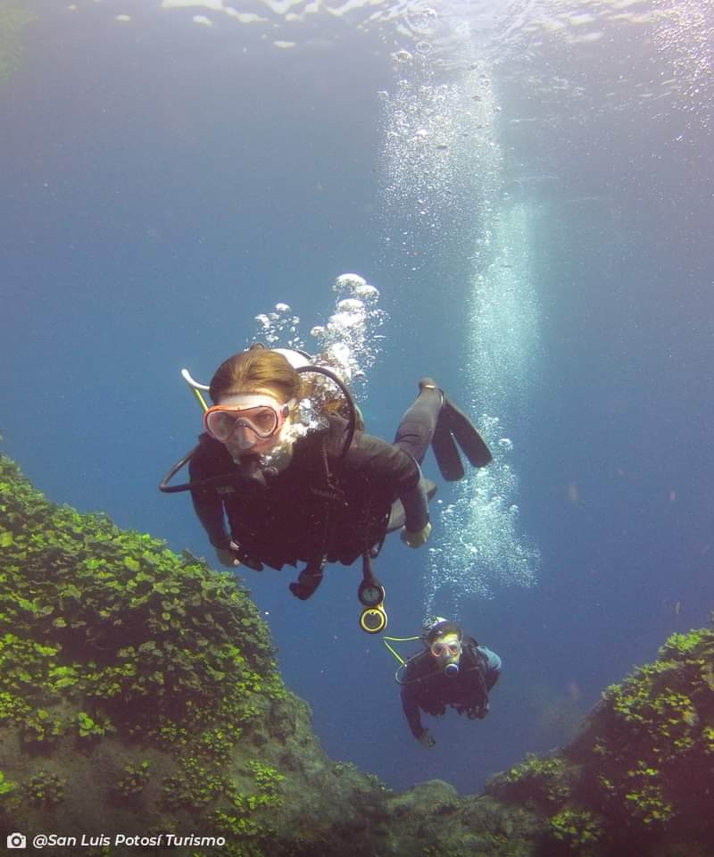 Este 2024, atrévete a explorar nuevos horizontes y vive momentos inolvidables en San Luis Potosí. ¿Listo para tu próxima gran aventura? 🌍✨

▶️ Más información turística:
🌐 visitasanluispotosi.com