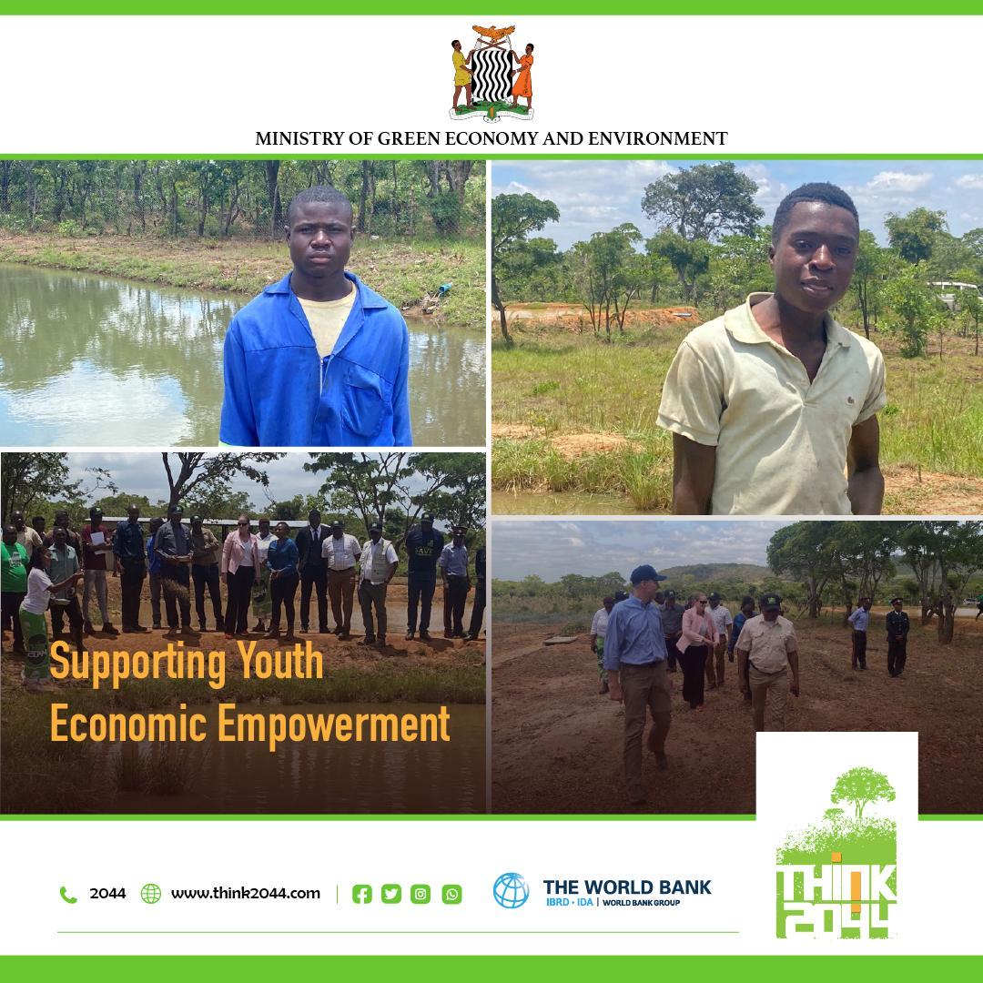 think2044's tweet photo. Explore Kabundi Multi-purpose Cooperative's incredible impact on youths like Misheck Mulenga in Mpika. Thanks to the #TRALARD project, they're venturing into pig and fish production, gardening, and financial literacy, forging a brighter future. https://t.co/w6784xiMQG