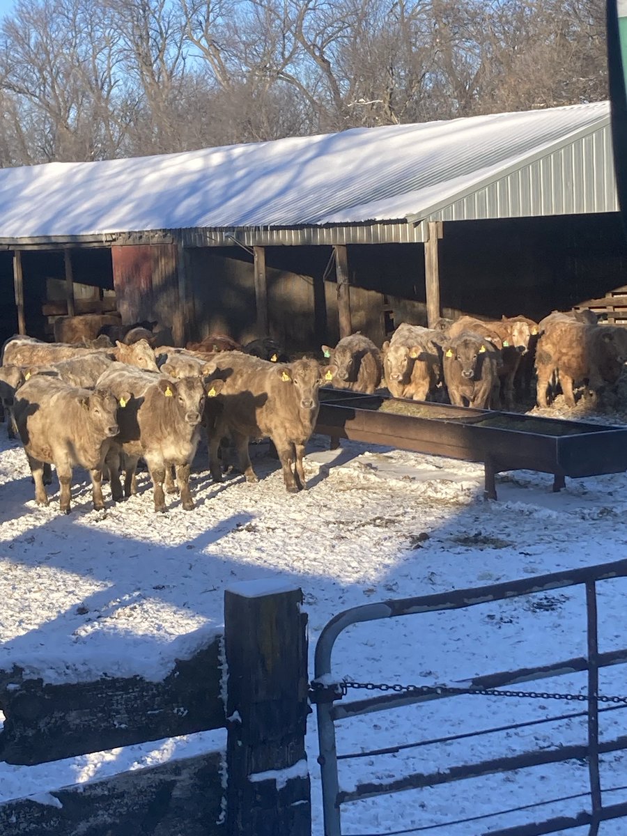 251 of these critters gonna be at sfrl on Monday the 15th