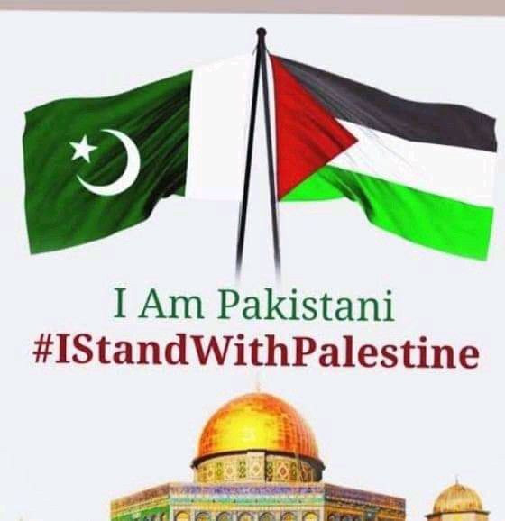 jerkutaye's tweet photo. Blood of our Muslim brothers demand immediate peace.
Pakistan 
should contribute it's part at the least, by submitting the declaration of 
intervention
#GazaCallsPakistan_toICJ https://t.co/8AHzHXPhBG
