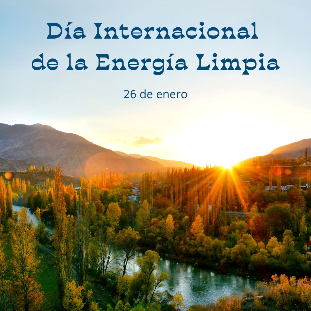 Talento Aragón Joven tweet media