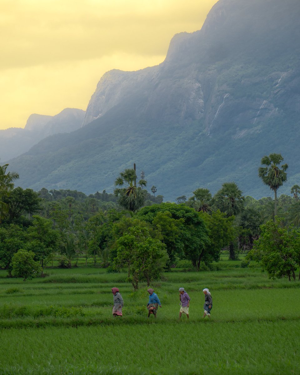 sibinn__'s tweet photo. Hope is a walking dream:)

Shot on @lumix_india #lumix 

#palakkad #Kerala #ngtindia https://t.co/J1WPagvSd4