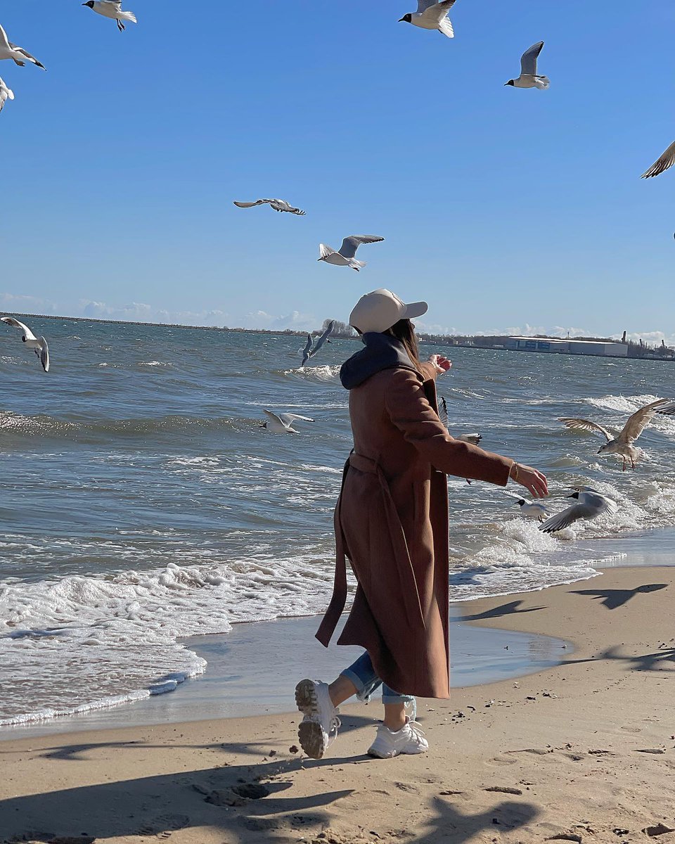 VALDICKCALIXTO's tweet image. as free as the wind