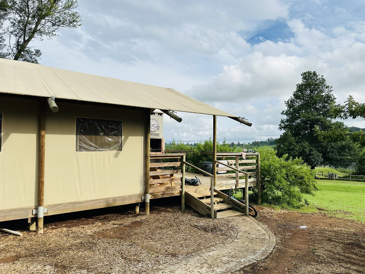 Andrew Schär tweet media