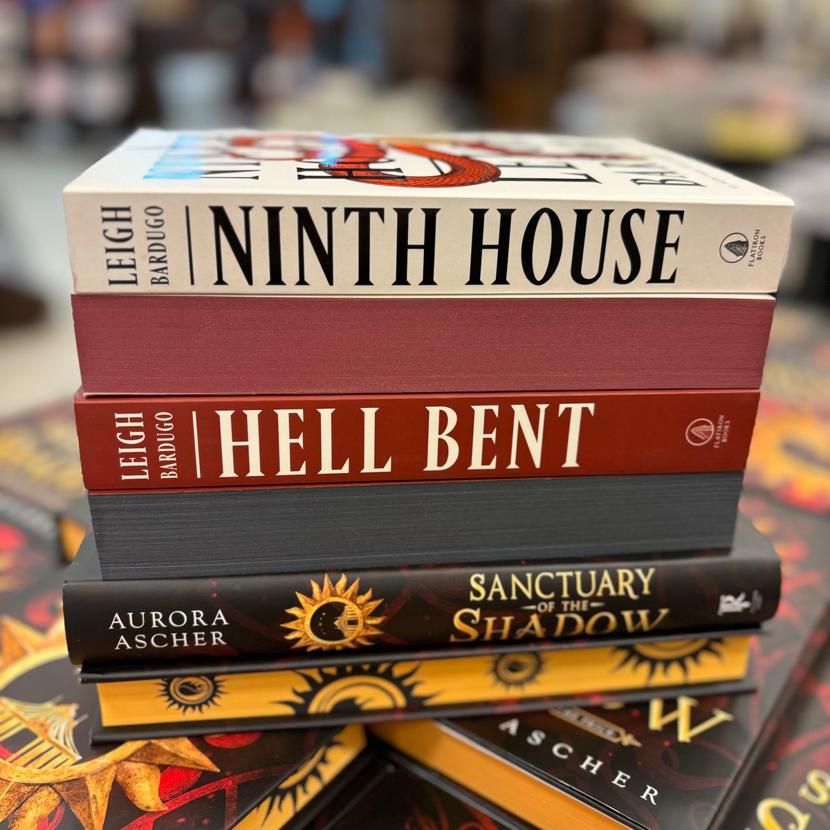 Don't worry. Your #newbooks will wait for you while you get the driveway shoveled. ❄️

#bnmidwest #spredges #bnbuzz #leighbardugo #ninthhouse #hellbent #auroraascher #sanctuaryoftheshadow #bnexclusive