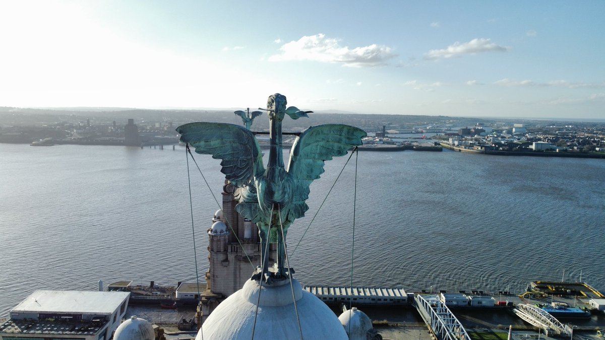 Dianna Mannhart (@dianna_mannhart) on Twitter photo Bella and Bertie looking stunning in the sunshine this afternoon #Liverpool #liverbirds #Bertie #Bella #liverbuilding <a href="/RLB360/">Royal Liver Building 360 Tour</a> Bella and Bertie looking stunning in the sunshine this afternoon #Liverpool #liverbirds #Bertie #Bella #liverbuilding <a href="/RLB360/">Royal Liver Building 360 Tour</a>
