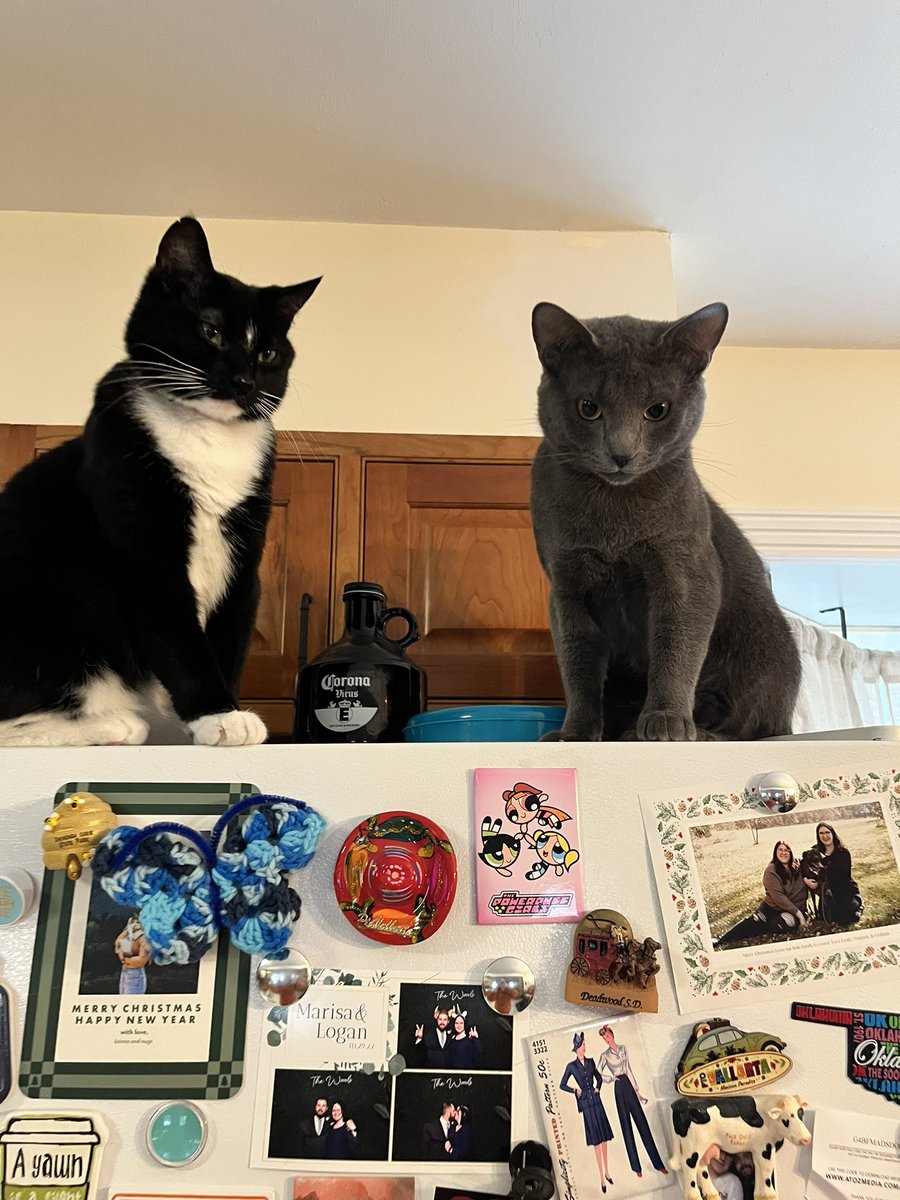 jacklilassassin's tweet photo. pov: you’re plotting world domination https://t.co/2fzocdpR82