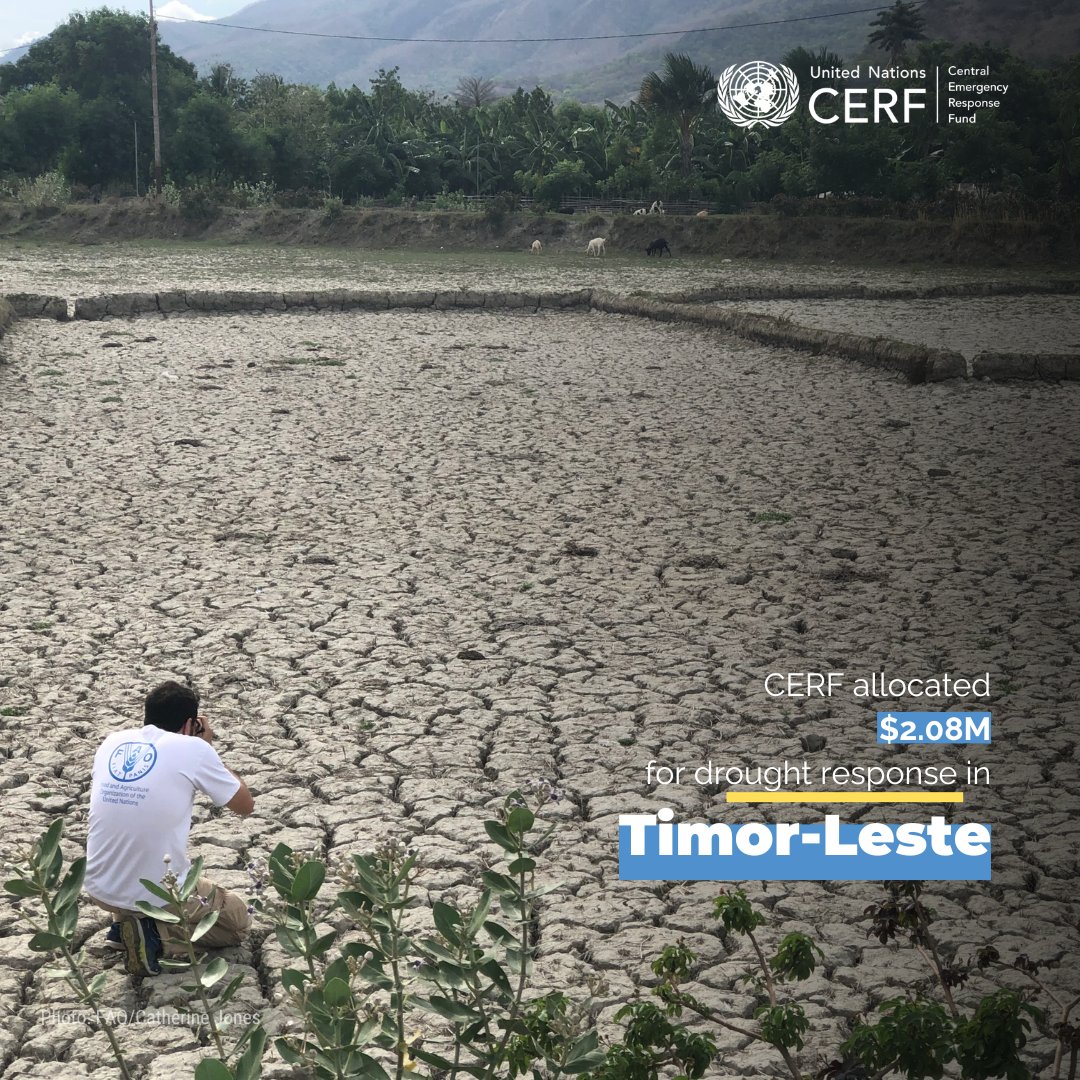 CERF - The UN's emergency fund (@uncerf) on Twitter photo Timor-Leste faces an imminent and severe drought due to El NiΓ±o.
<a href="/UNReliefChief/">Tom Fletcher</a> has allocated $2.08M from <a href="/UNCERF/">CERF - The UN's emergency fund</a> to kick-start the response, scale up #anticipatoryaction before the drought and to help people already in need.
#InvestInHumanity Timor-Leste faces an imminent and severe drought due to El NiΓ±o.
<a href="/UNReliefChief/">Tom Fletcher</a> has allocated $2.08M from <a href="/UNCERF/">CERF - The UN's emergency fund</a> to kick-start the response, scale up #anticipatoryaction before the drought and to help people already in need.
#InvestInHumanity