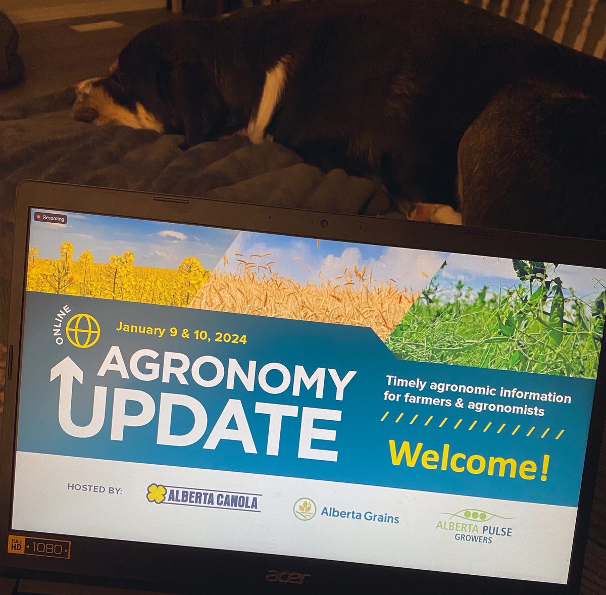 jadefleming4's tweet photo. Alberta Agronomy Update with my sleepy coworker! #albertaag #southernabag #albertagrains https://t.co/bOWeJwO1cv
