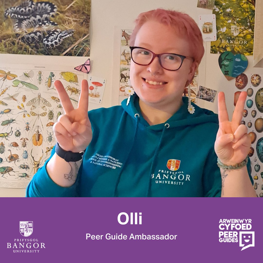New Year, New Peer Guide Ambassadors! Let me introduce our two new team members: 👩‍🎓 Mairelle Mattar – A final year French and Spanish student. 👨‍🔬Olli Ellis- A 2nd Year Zoology Student. Welcome to the team.🎉 @BangorUni @Bangorstudents