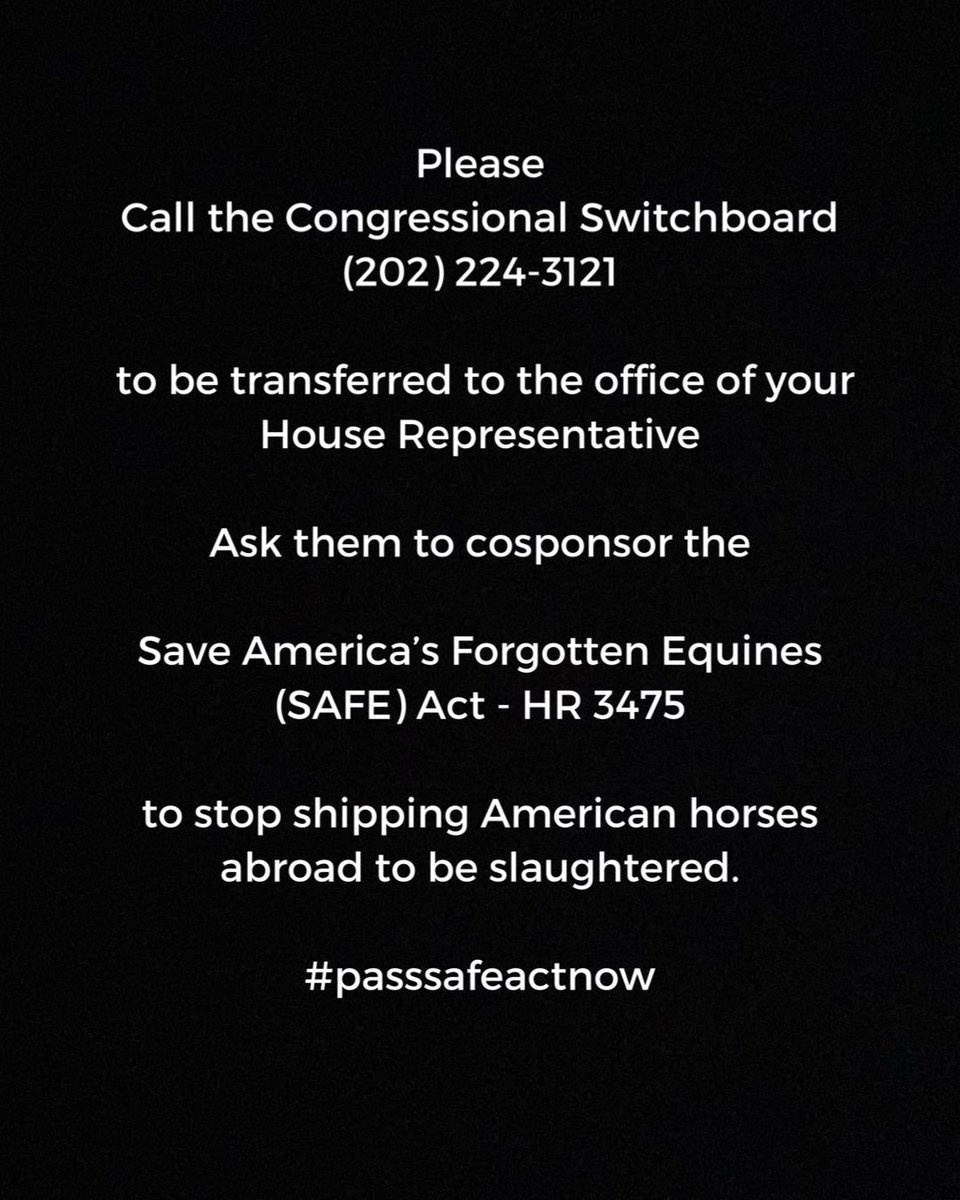 skydogsanctuary's tweet photo. Horse slaughter is illegal in the US, but every year, 20,000 horses are shipped to Mexico &amp; Canada to be slaughtered for human consumption. We can stop it this year by passing the SAFE Act - HR 3475. #passthesafeact Learn more: https://t.co/EFAjXsUHGC https://t.co/V1lj4rzUVq
