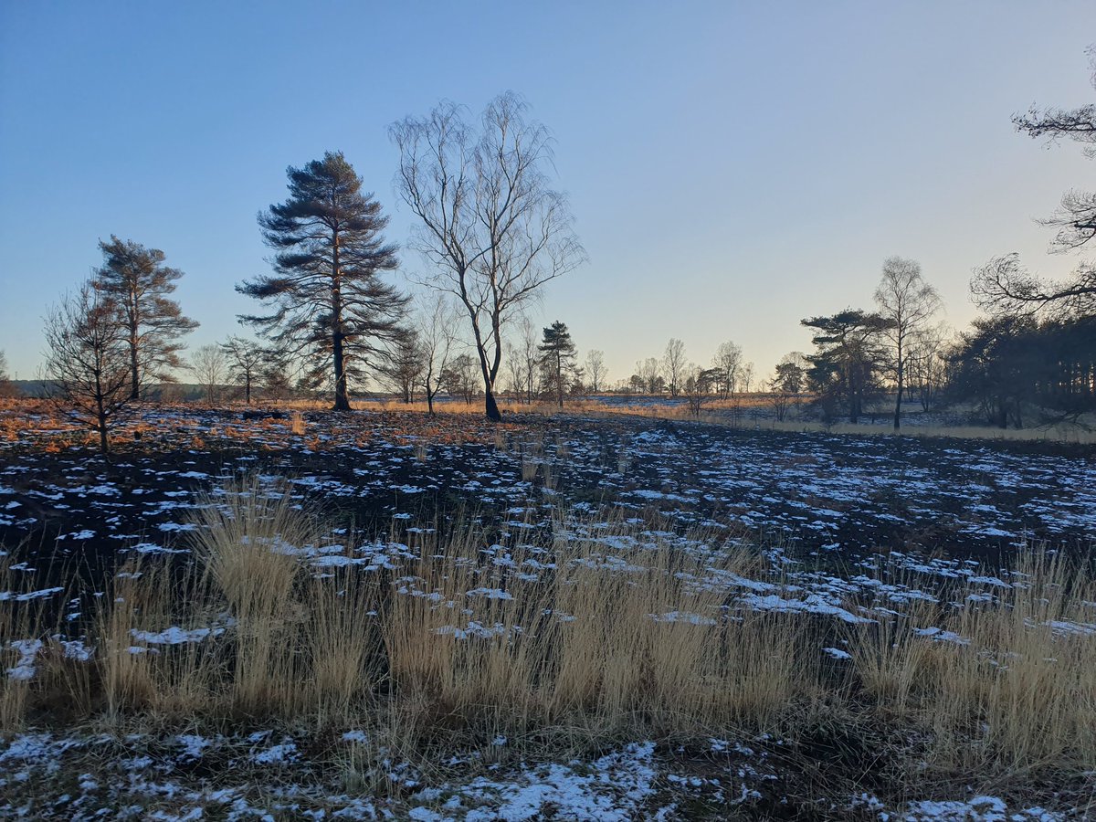 ZhepzyMudRunner's tweet image. Went out with the wrong shoes and socks on, wet freezing feet! Snow and ice on the ground, bbbbrrrr 🥶
#TWC #TwittaWinterChallenge #SonicWinterSprinters