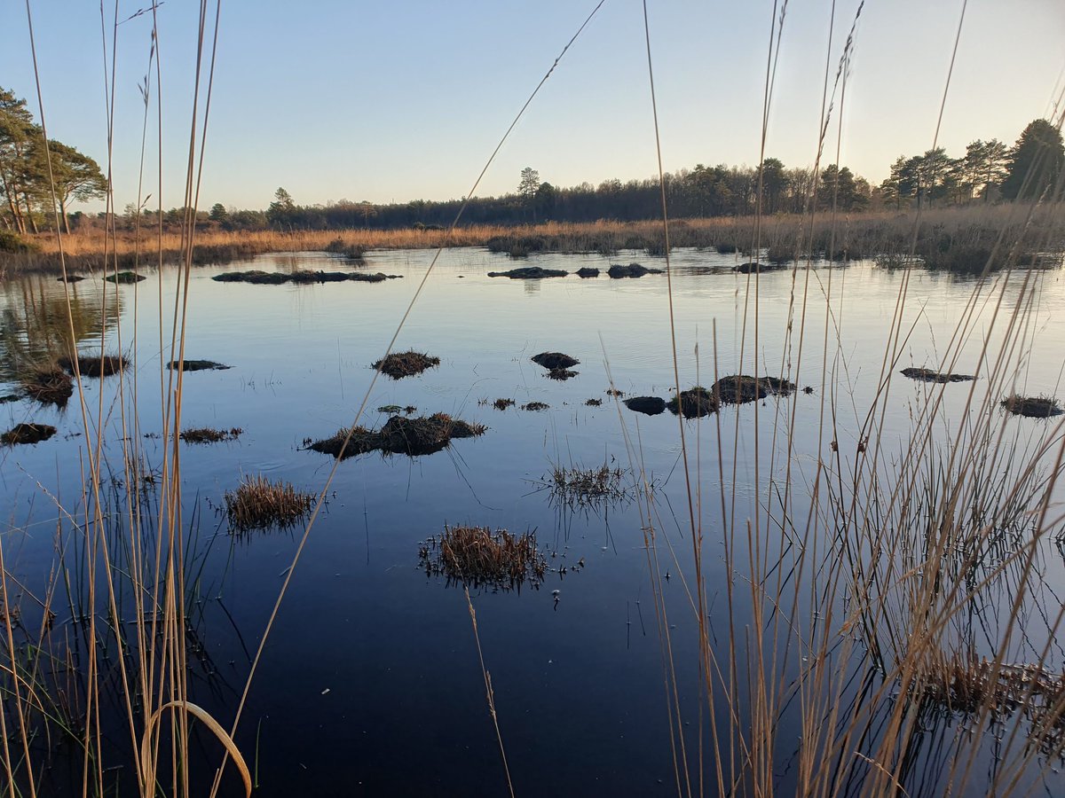 ZhepzyMudRunner's tweet image. Went out with the wrong shoes and socks on, wet freezing feet! Snow and ice on the ground, bbbbrrrr 🥶
#TWC #TwittaWinterChallenge #SonicWinterSprinters