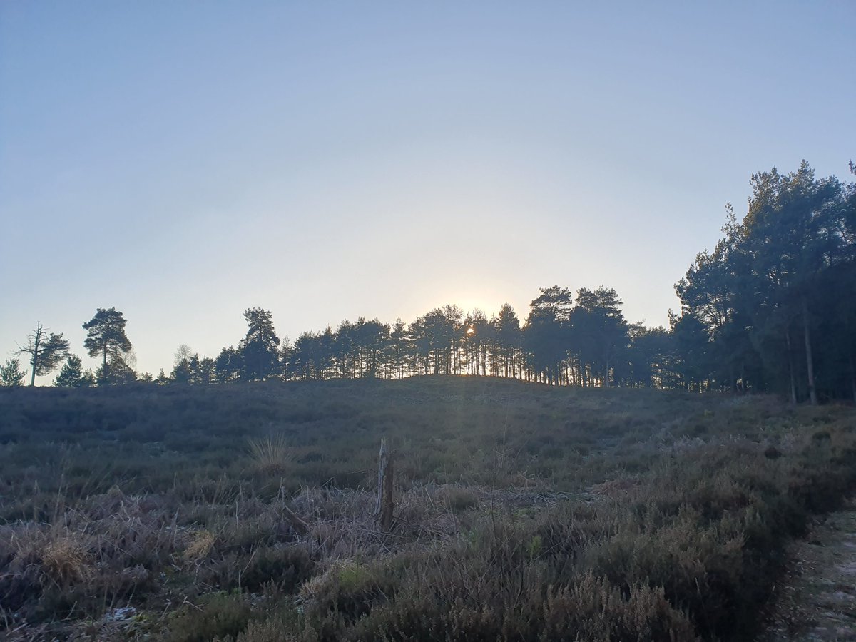 ZhepzyMudRunner's tweet image. Went out with the wrong shoes and socks on, wet freezing feet! Snow and ice on the ground, bbbbrrrr 🥶
#TWC #TwittaWinterChallenge #SonicWinterSprinters